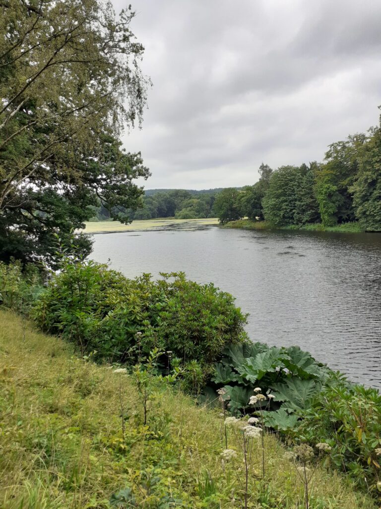 the lake at Harewood House