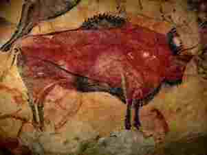 cave painting of oxen