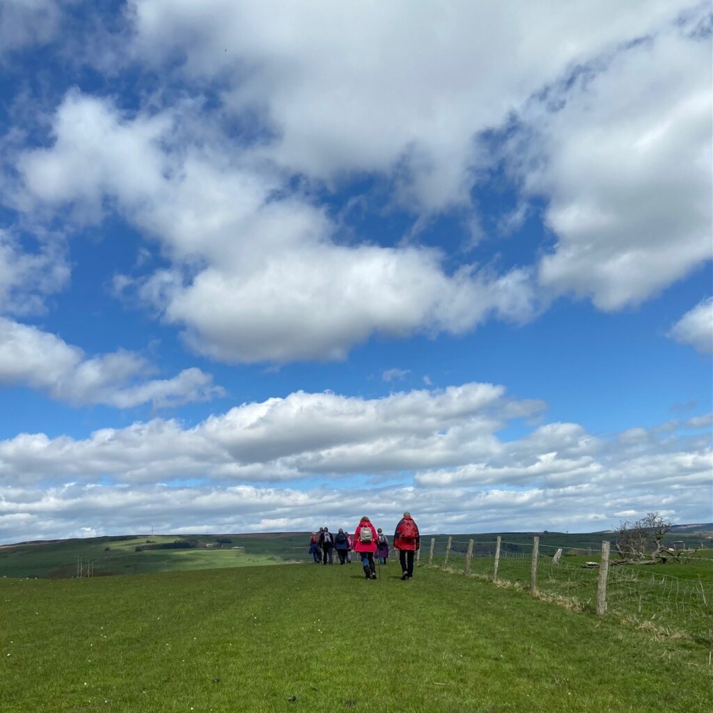 back view of walking group following a fence through a field