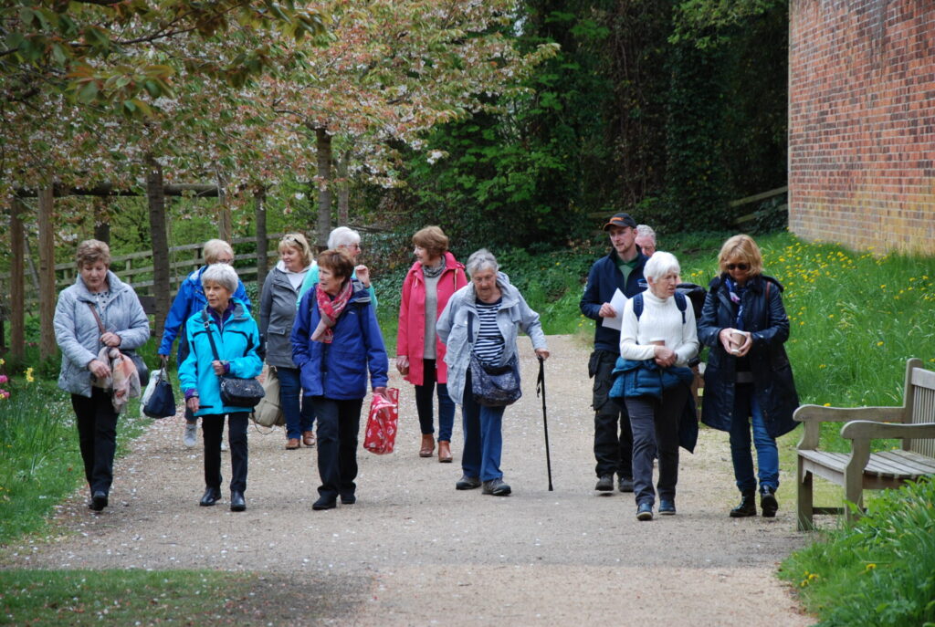group of people walking along a path