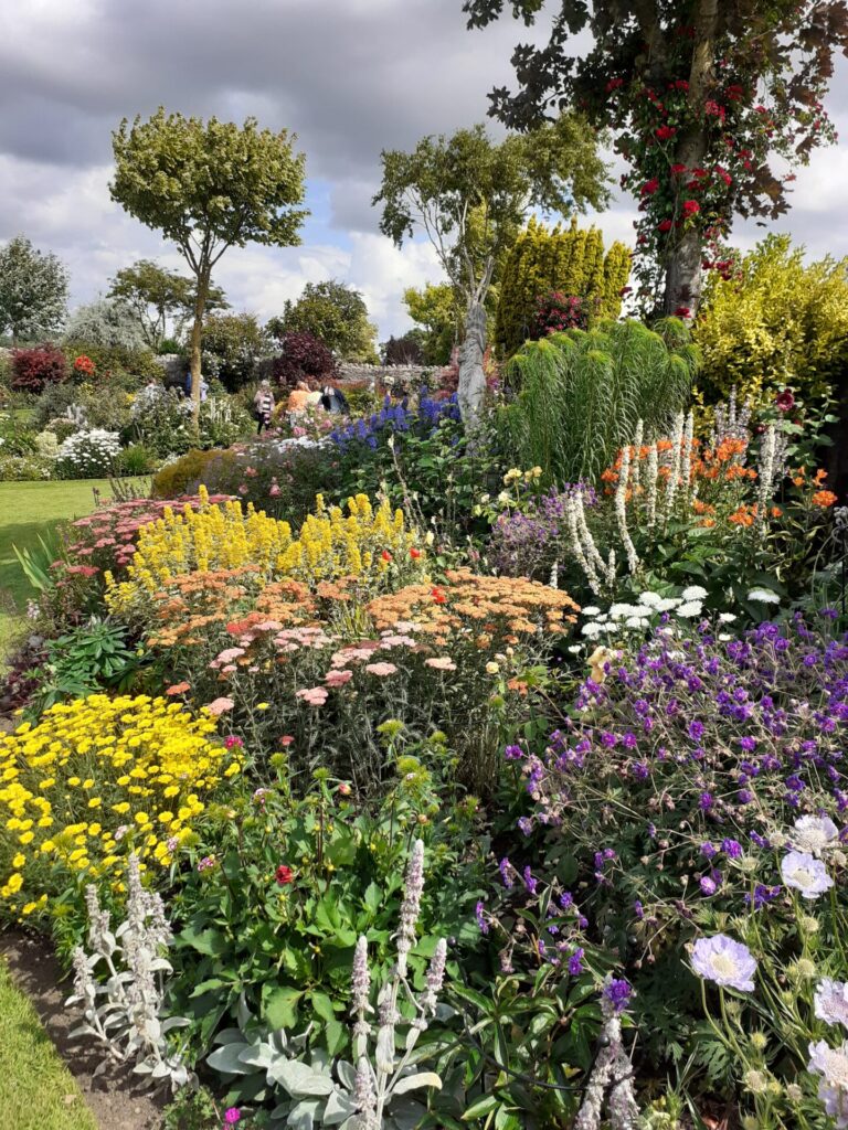 flower beds at Thornton Hall