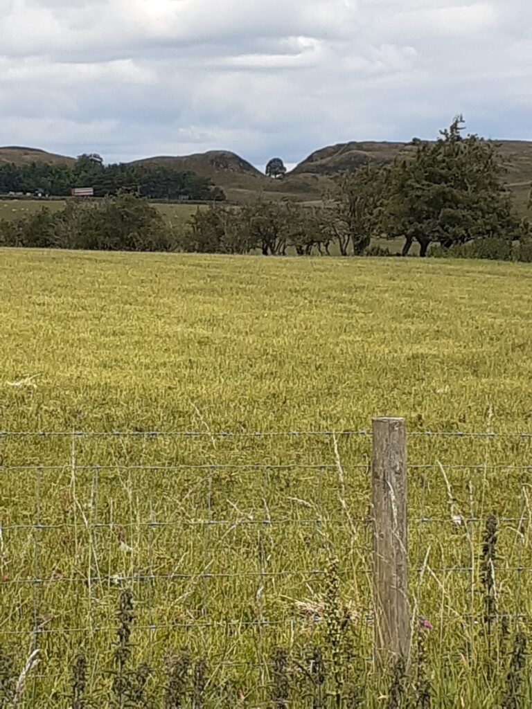 Sycamore Gap in Hadrians Wall