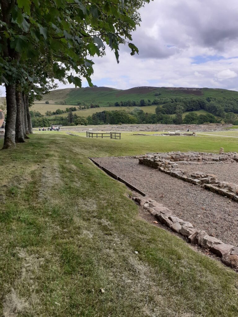 view through trees across Vindolanda fort