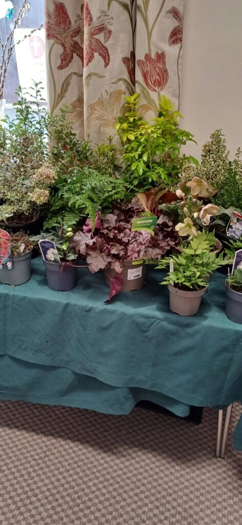 Table of plants