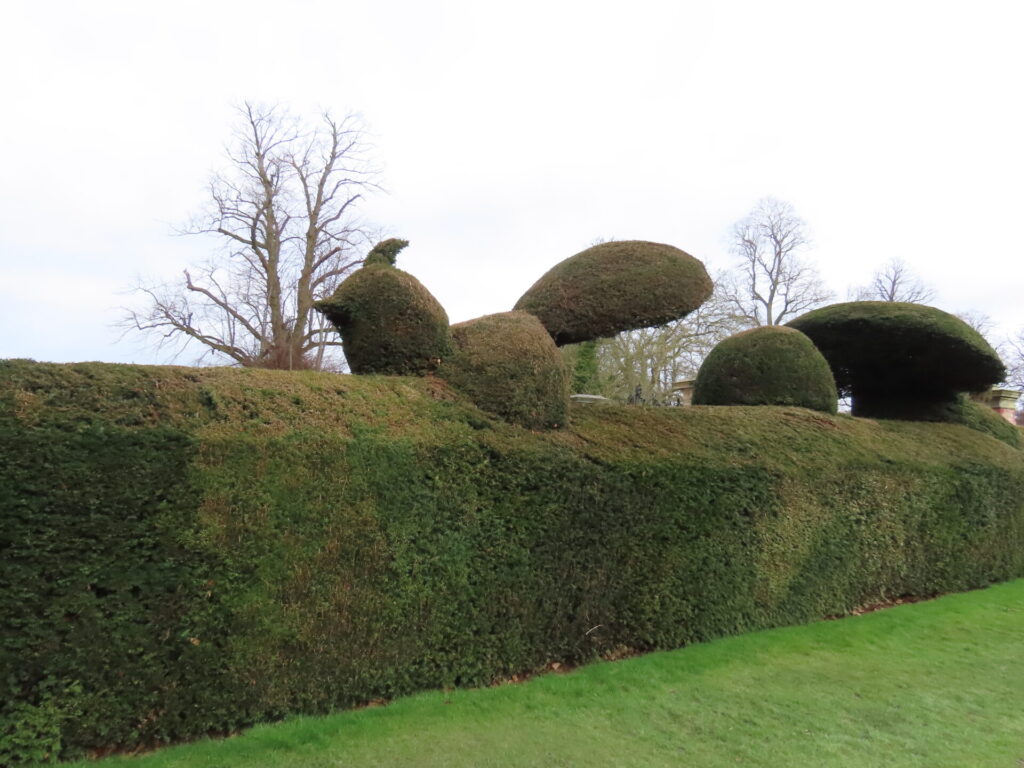 The Topiary Garden