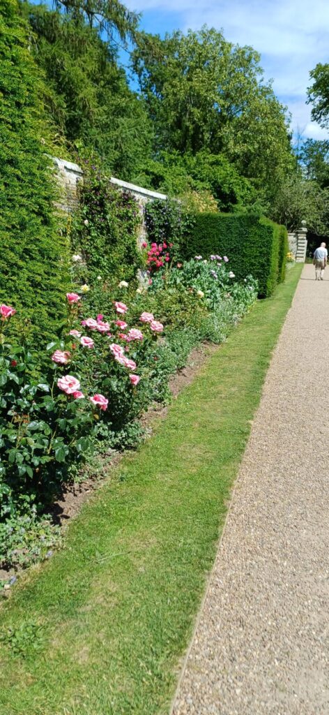 Nunnington Hall roses and poppies