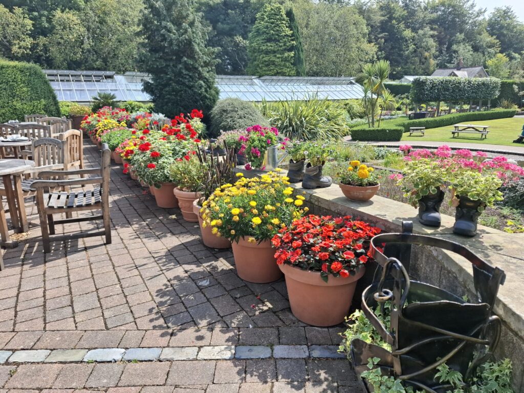 Durham Botanic Garden tour